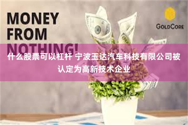 什么股票可以杠杆 宁波玉达汽车科技有限公司被认定为高新技术企业