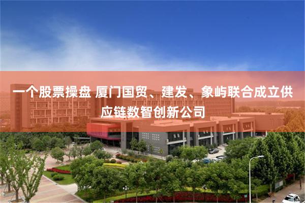一个股票操盘 厦门国贸、建发、象屿联合成立供应链数智创新公司