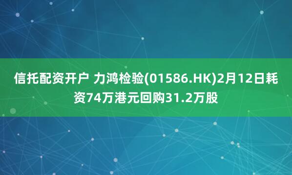 信托配资开户 力鸿检验(01586.HK)2月12日耗资74万港元回购31.2万股
