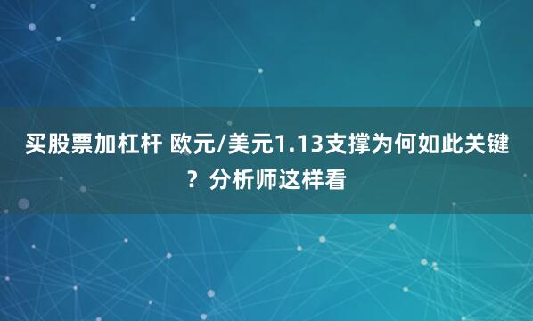 买股票加杠杆 欧元/美元1.13支撑为何如此关键？分析师这样看
