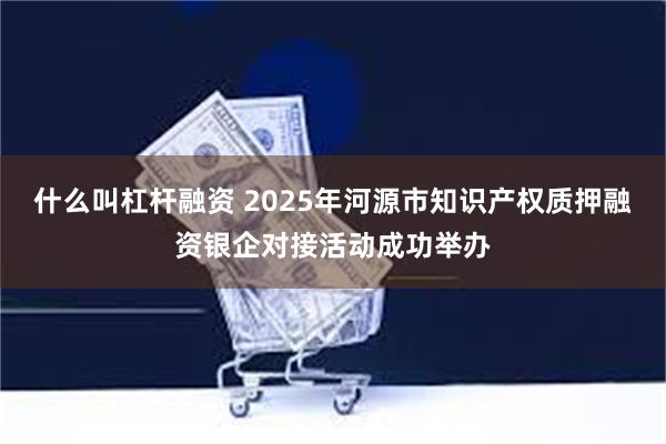 什么叫杠杆融资 2025年河源市知识产权质押融资银企对接活动成功举办
