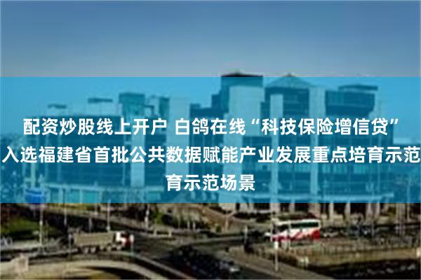 配资炒股线上开户 白鸽在线“科技保险增信贷”项目入选福建省首批公共数据赋能产业发展重点培育示范场景
