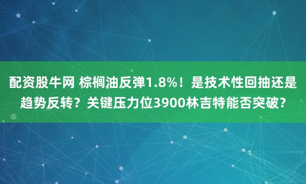 配资股牛网 棕榈油反弹1.8%！是技术性回抽还是趋势反转？关键压力位3900林吉特能否突破？