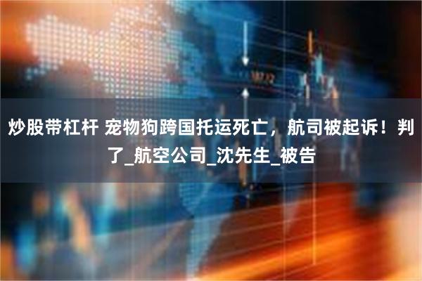 炒股带杠杆 宠物狗跨国托运死亡，航司被起诉！判了_航空公司_沈先生_被告