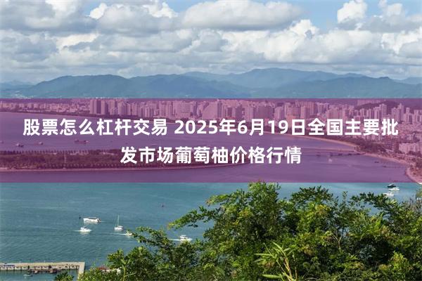 股票怎么杠杆交易 2025年6月19日全国主要批发市场葡萄柚价格行情