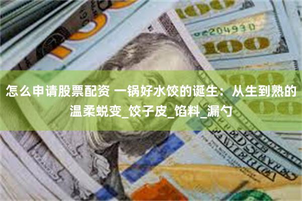 怎么申请股票配资 一锅好水饺的诞生：从生到熟的温柔蜕变_饺子皮_馅料_漏勺