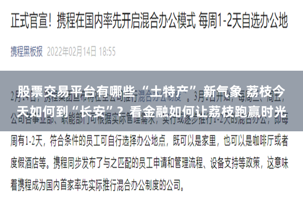 股票交易平台有哪些 “土特产” 新气象 荔枝今天如何到“长安”？看金融如何让荔枝跑赢时光