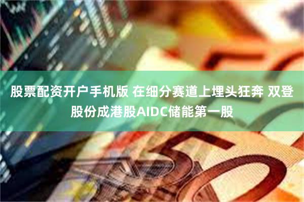 股票配资开户手机版 在细分赛道上埋头狂奔 双登股份成港股AIDC储能第一股