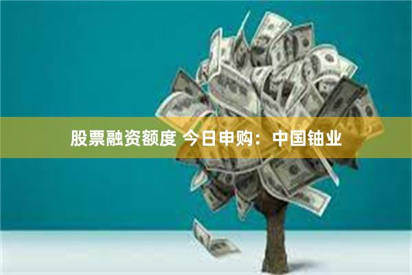 股票融资额度 今日申购：中国铀业