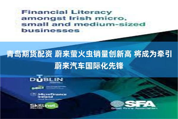 青岛期货配资 蔚来萤火虫销量创新高 将成为牵引蔚来汽车国际化先锋