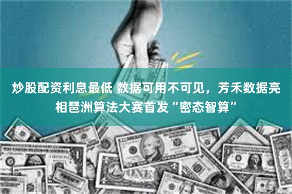 炒股配资利息最低 数据可用不可见，芳禾数据亮相琶洲算法大赛首发“密态智算”